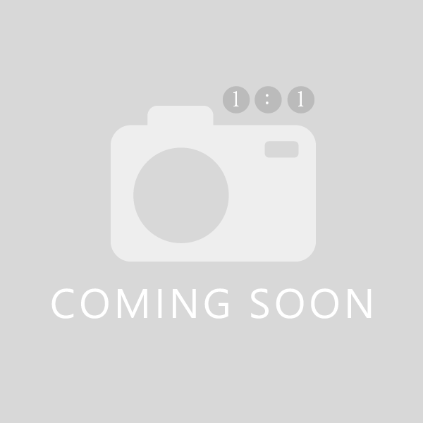 ZEBRA 斑馬 NPG100-12(膠體電池)